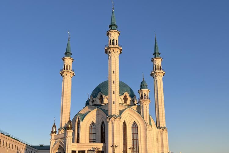 В гости к Йошкиному коту (2д/1н)