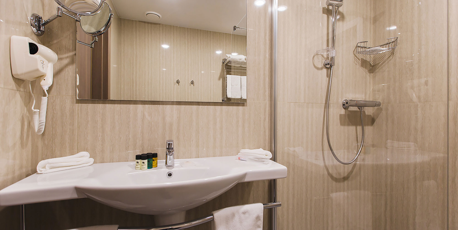 Покровский 4* (г. Псков)