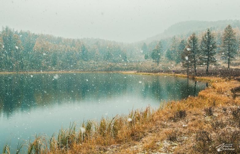 Автобус | На Алтай по доброй воле