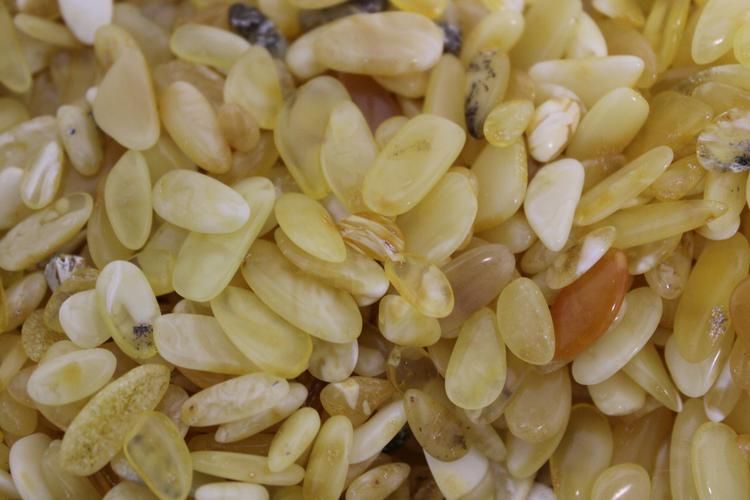 Там, где тридевять — не число, а состояние души