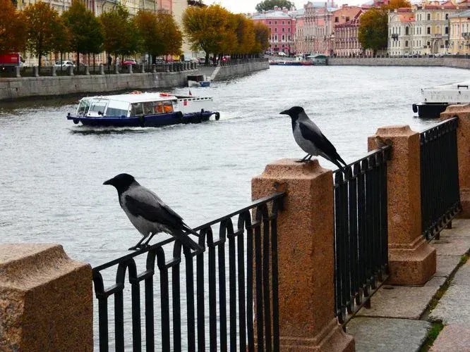 Майские праздники в Санкт-Петербурге (промо)