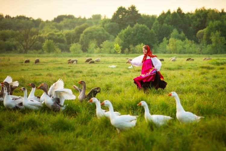 На Волжских берегах (промо)