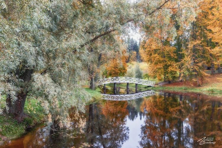 Где деревянный Томск встречает дикую Сибирь
