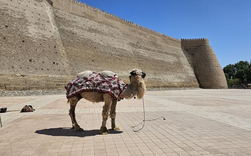 От Великой стены до небоскрёбов