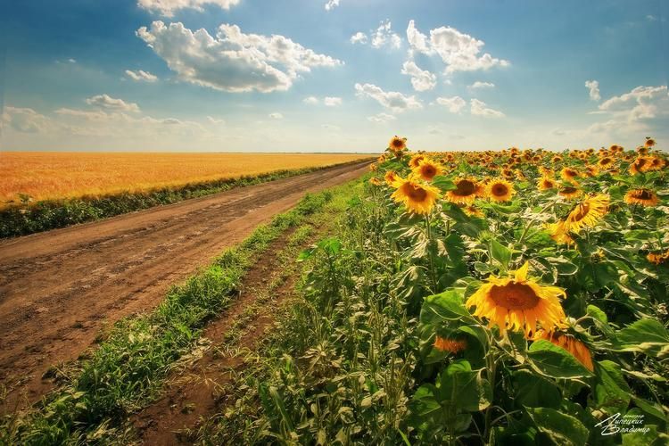 Это путь по следам виноделов