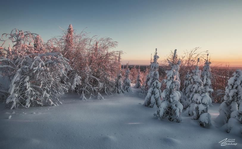 Автобус| Новый год в Минске: в гостях у белорусской зимы и гостеприимства из Твери
