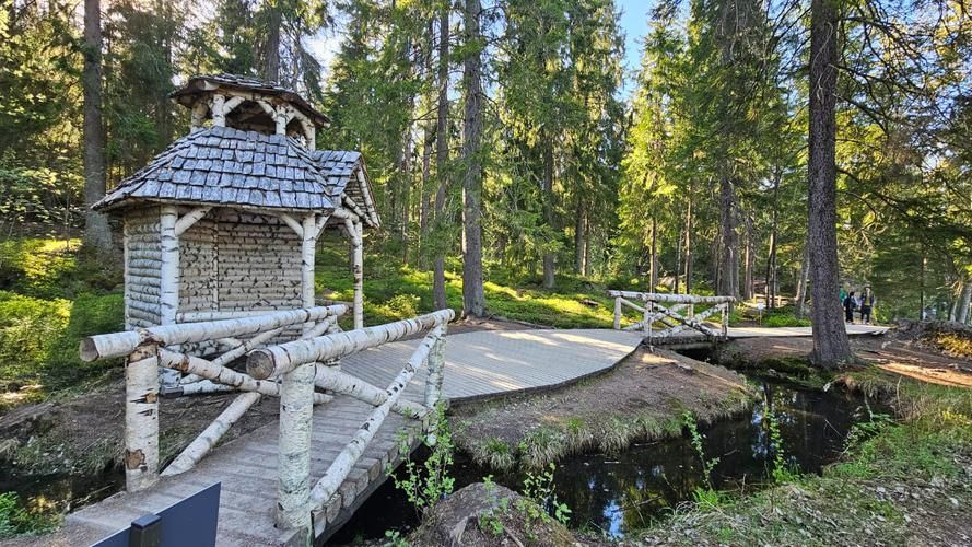 Выборг за кадром: неизвестные страницы истории