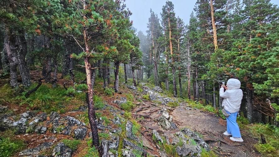 Драйв Кавказа: мультиактив в Адыгее