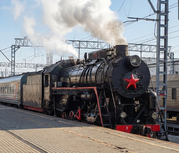 Ретропоезд в Гусь-Хрустальный за диковинным цветком