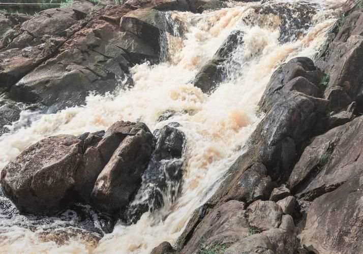 Северное Рождество: когда лес поёт, а снег — это музыка