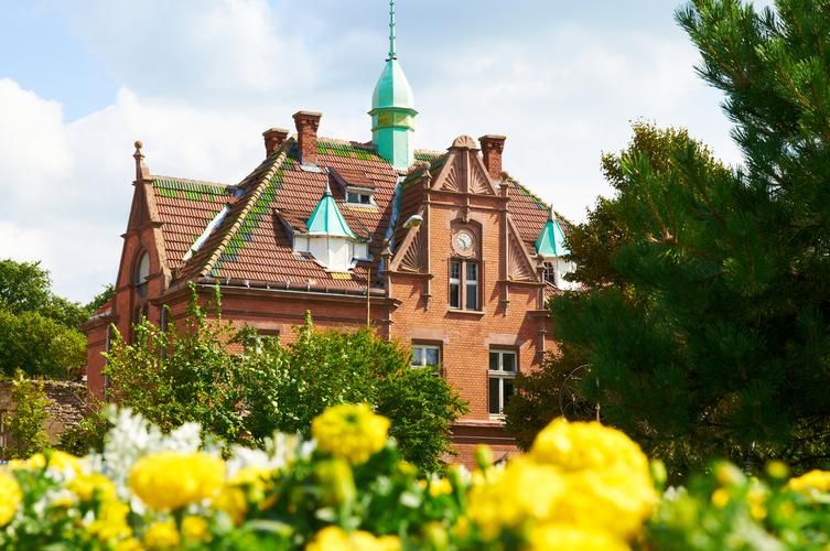 Мозаика Севера: новогодние каникулы в Калининграде