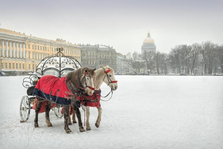 Выборг в Рождество: средневековая атмосфера и зимние чудеса