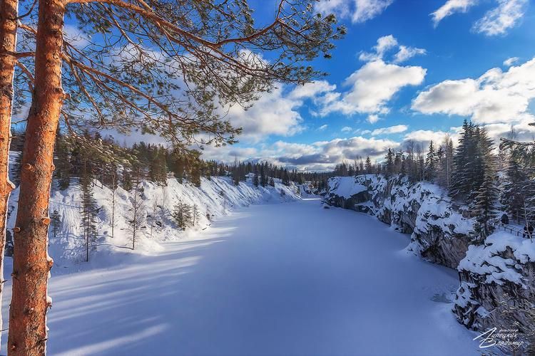 Автобус| Сказка для всей семьи: хаски и карельский Дед Мороз ждут в гости!