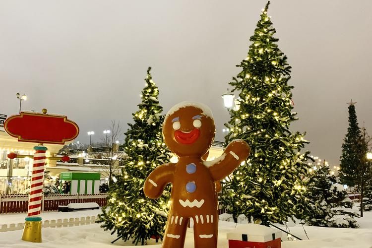 Новый 2026 год с КЫШ БАБАЕМ 3д/2н заезд 31.12.2025