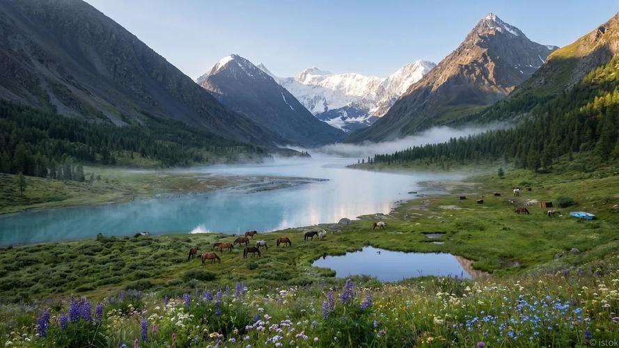 Сказочный Алтай — путешествие мечты