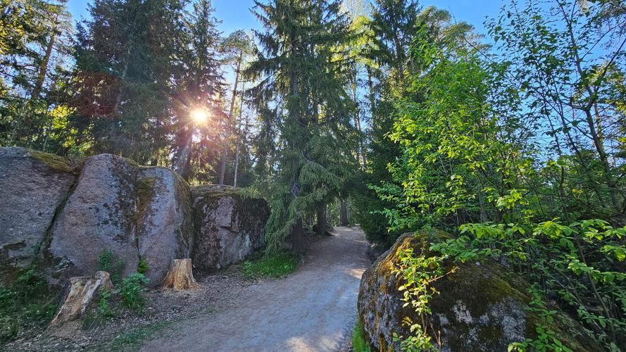 Выборг за кадром: неизвестные страницы истории