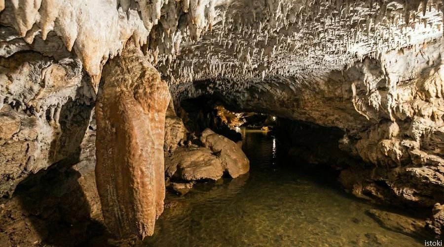Автобус| Новогодний мандариновый рай: каникулы в Абхазии из Твери