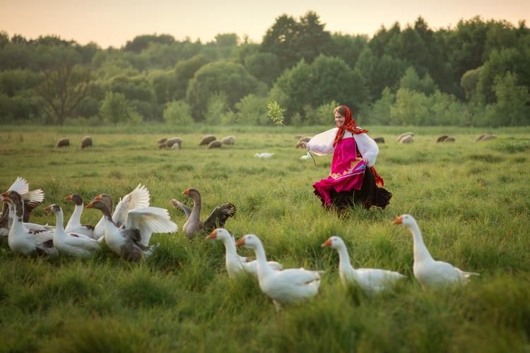 Автобус |  Чудо между скалами: где Тула шепчет, а Швейцария слышит